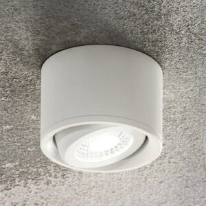 LED svítidlo Anzio downlight, otočné, bílá