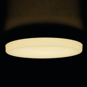 LED stropní svítidlo Pronto, Ø 28 cm