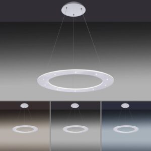 Paul Neuhaus Pure-Cosmo LED závěsné světlo Ø 55cm